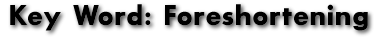 Key Word: Foreshortening